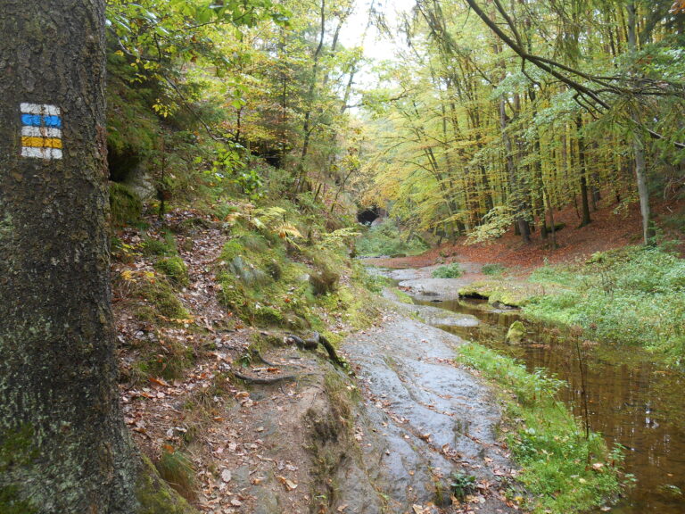 Zidova strouha Gorge